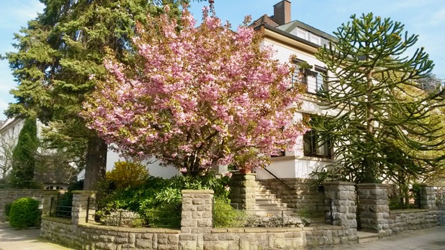 Altbau Villa Düsseldorf
