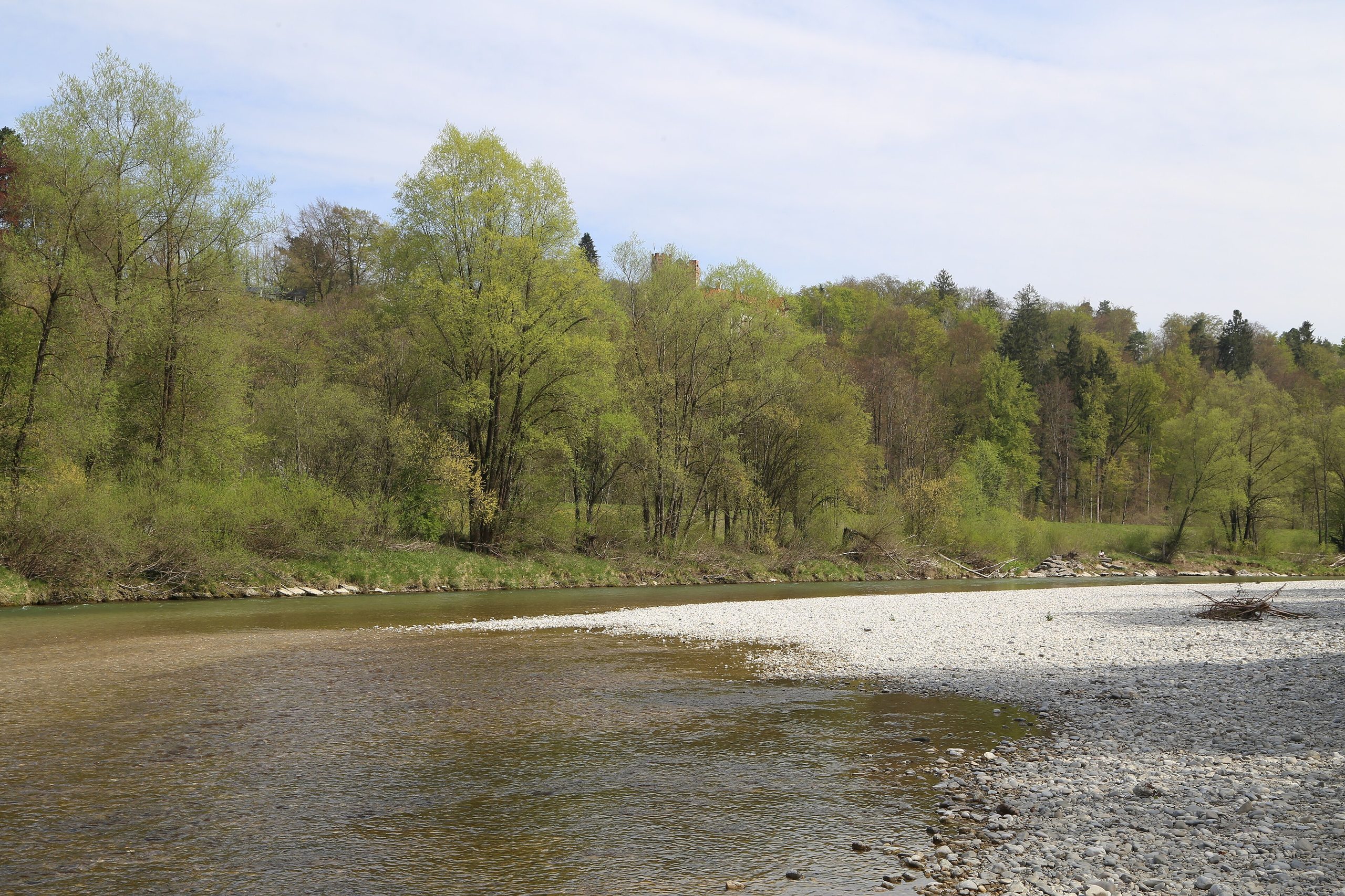Isar bei Grünwald mit Kiesbank und dem Turm der Burg Grünwald